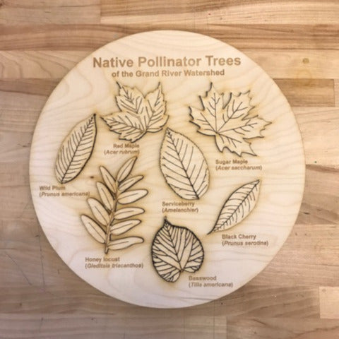 Take and Make Kits: Local Leaf Puzzle